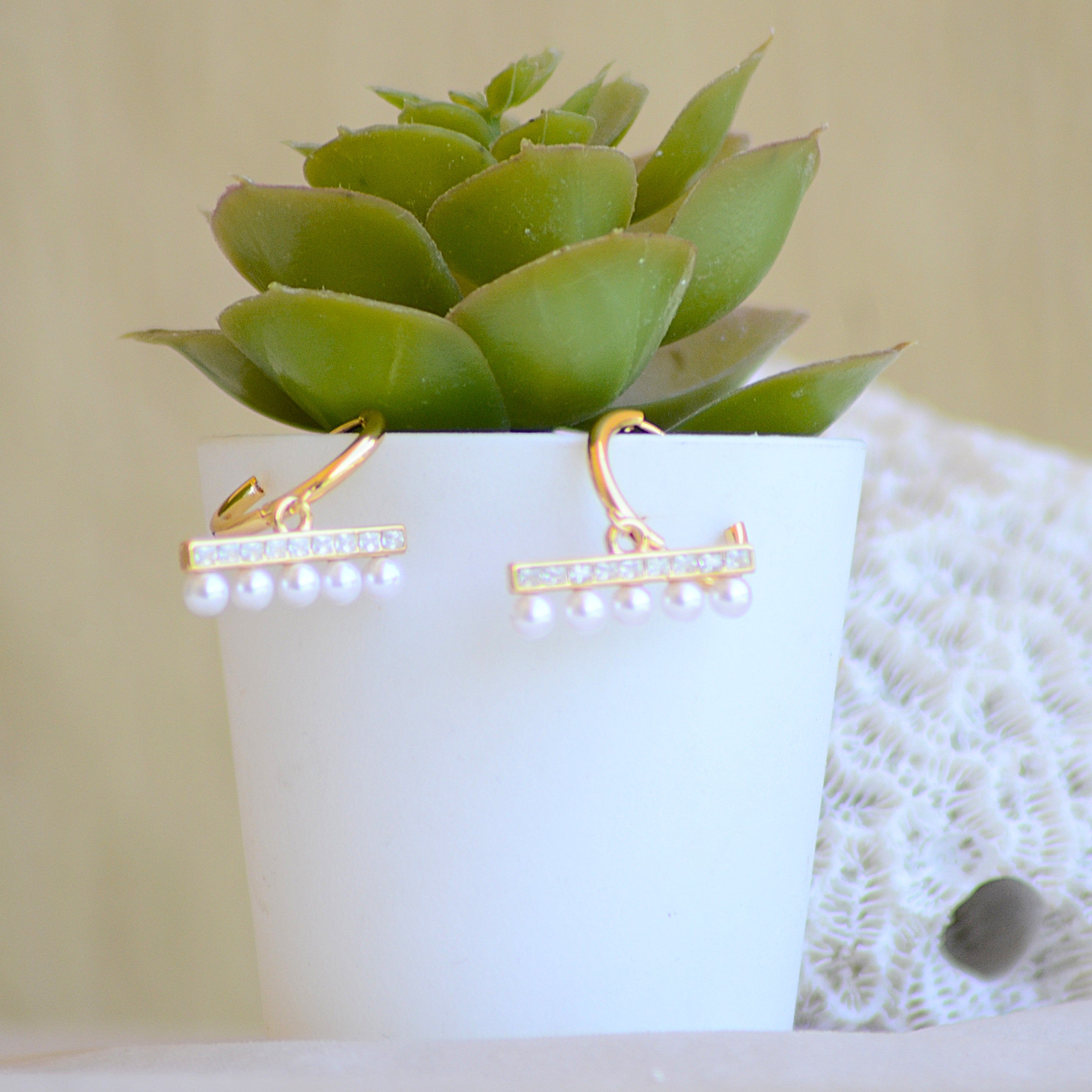 Earrings
