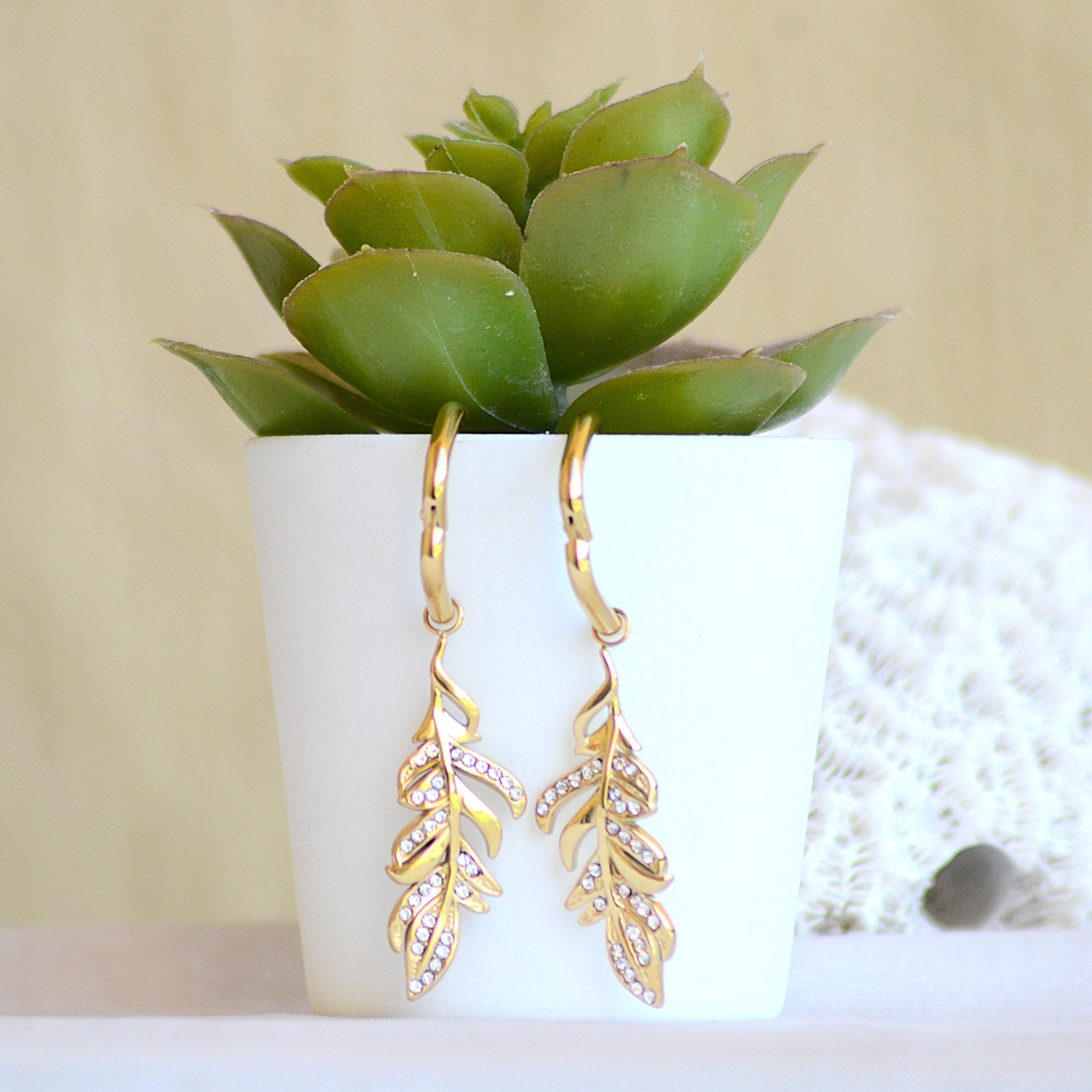 Earrings